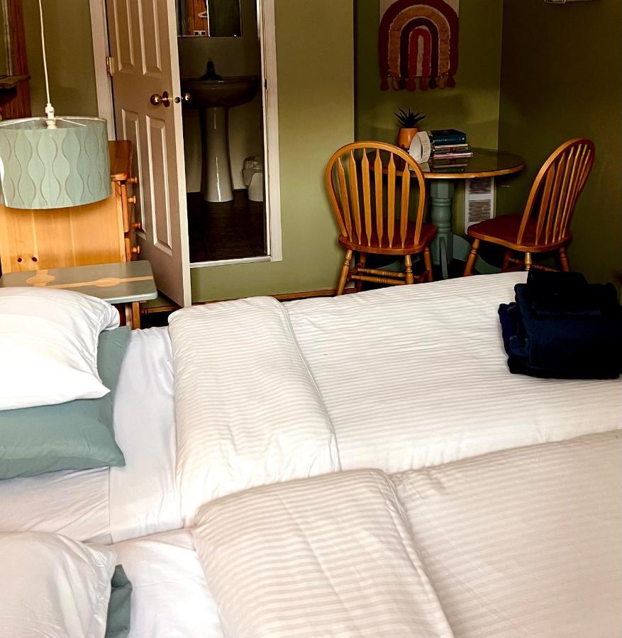 The Messy Owl Inn & Eco Haven Likely المظهر الخارجي الصورة